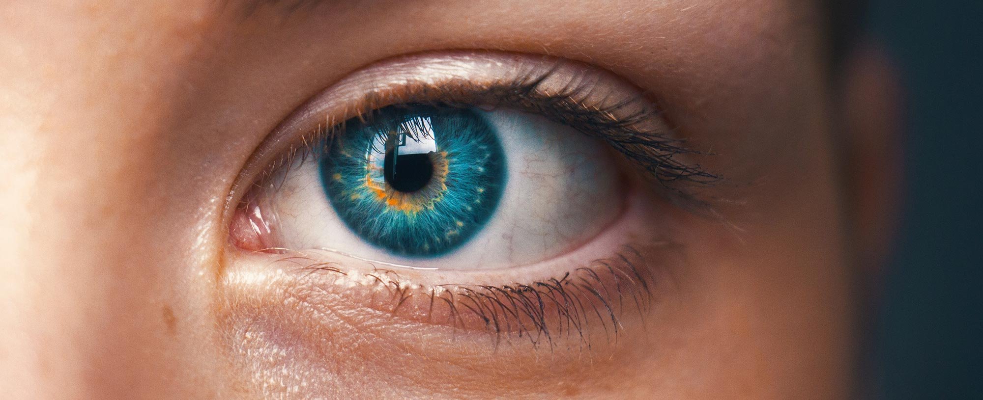 Contorno De Ojos