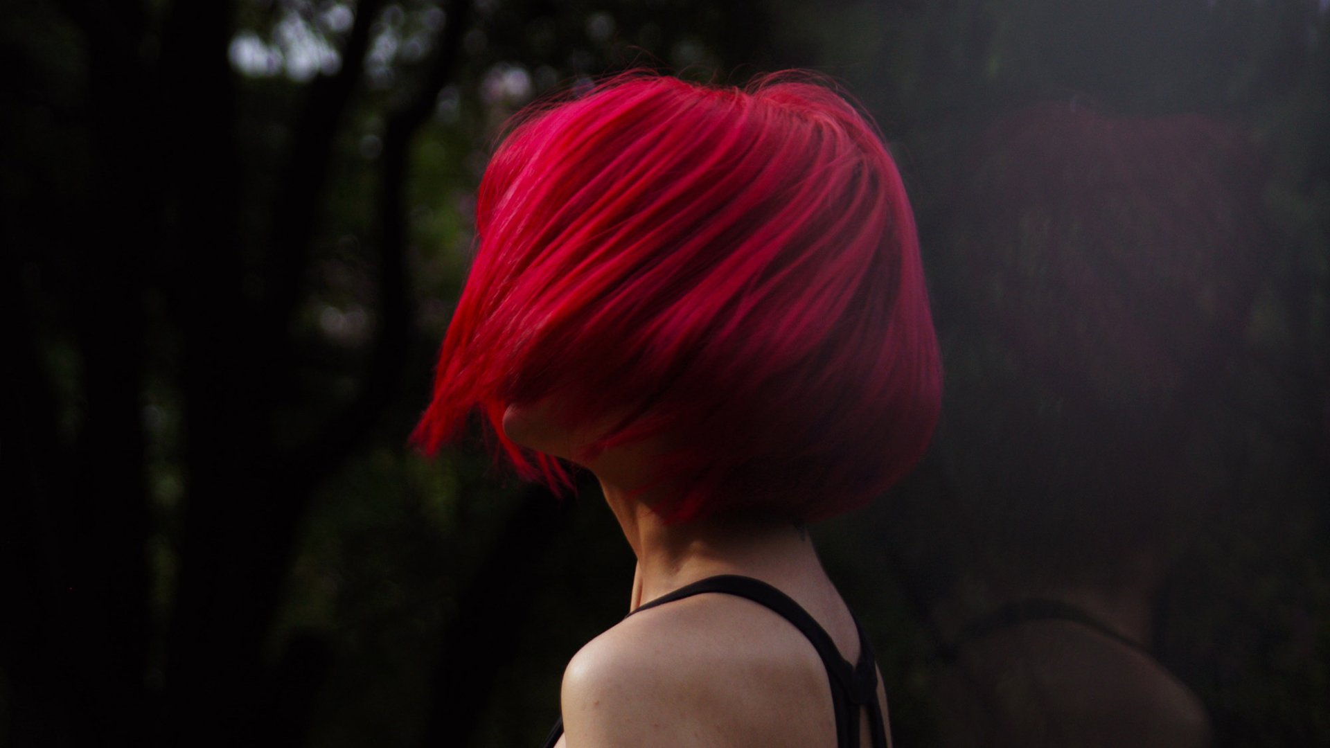  Shampoo Para Pelo Teido