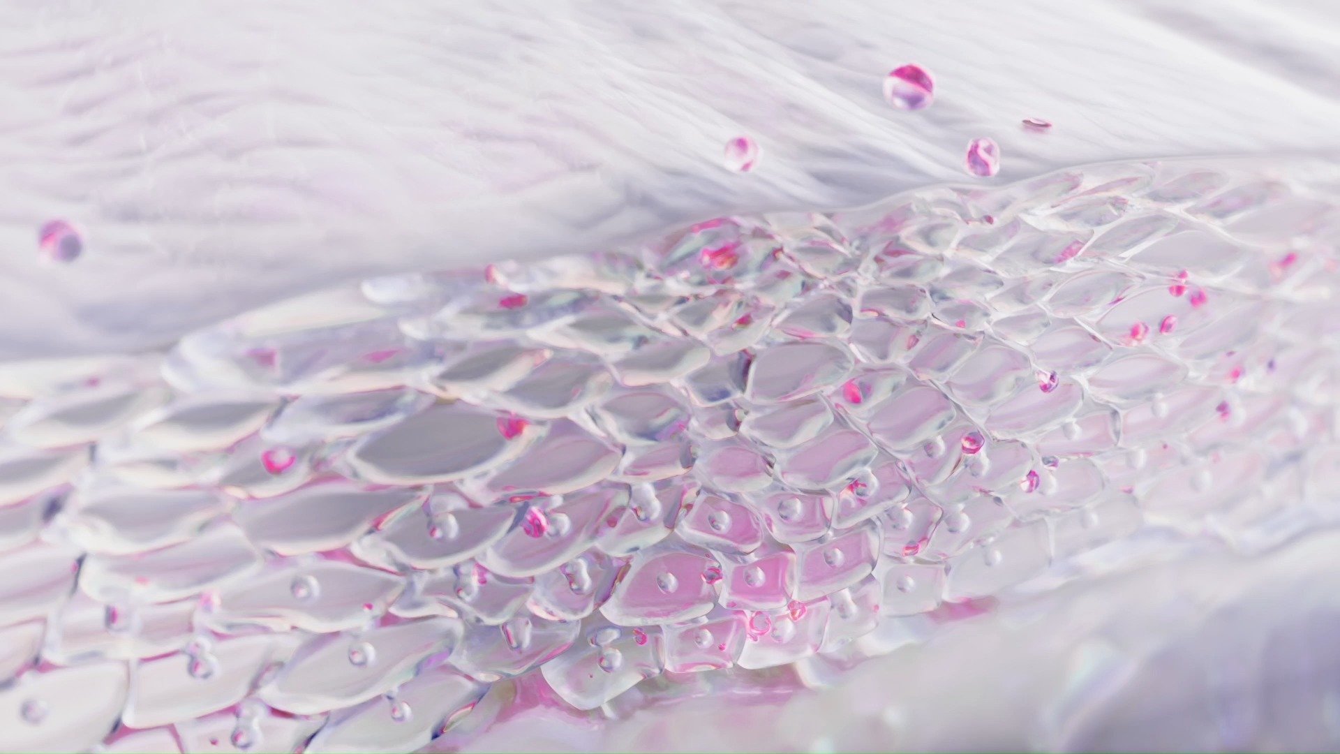 Banner Video Bright Nuevo