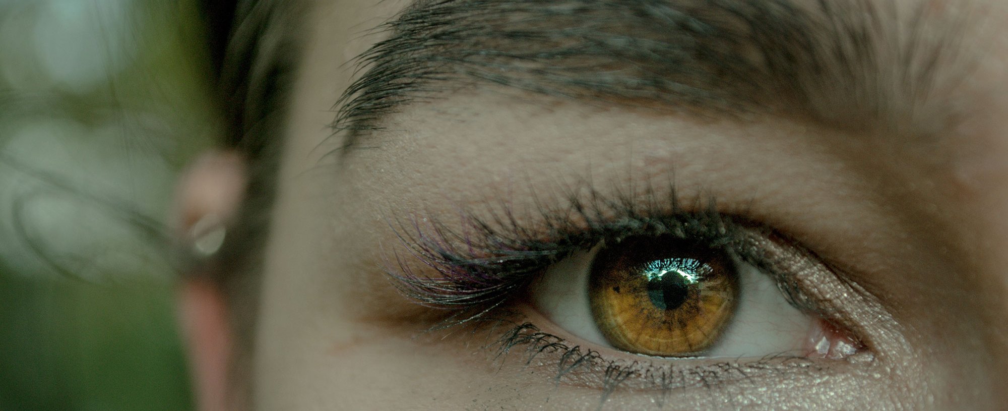 Cejas Perfectas