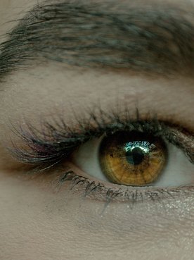 Cejas Perfectas