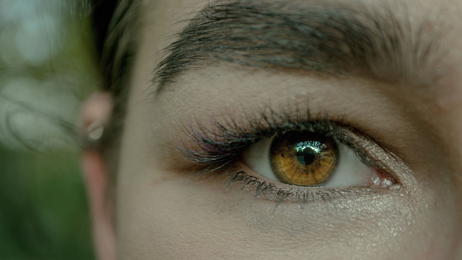 Cejas Perfectas