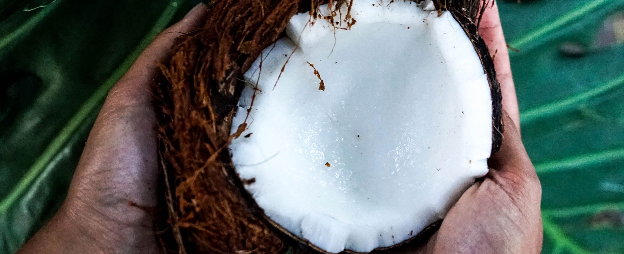 Aceite De Coco
