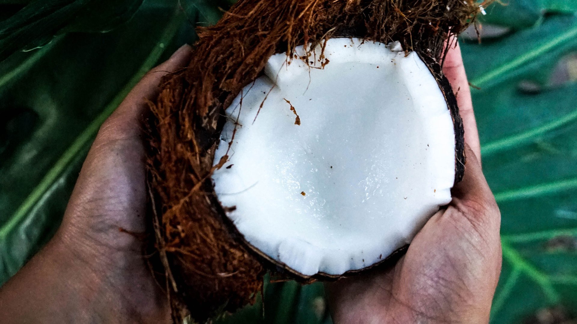 Aceite De Coco