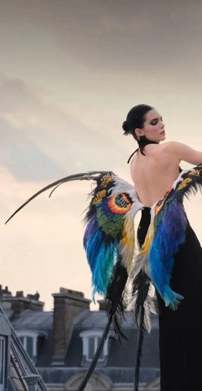 Stage Mobile 650x760