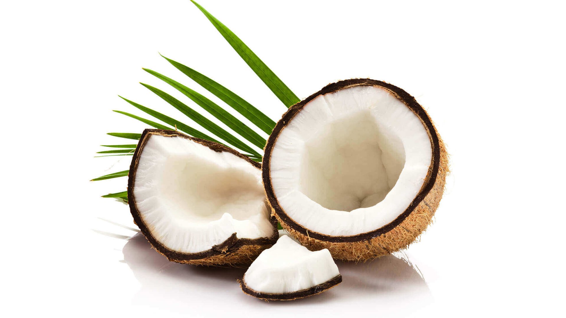 Shampoo De Coco