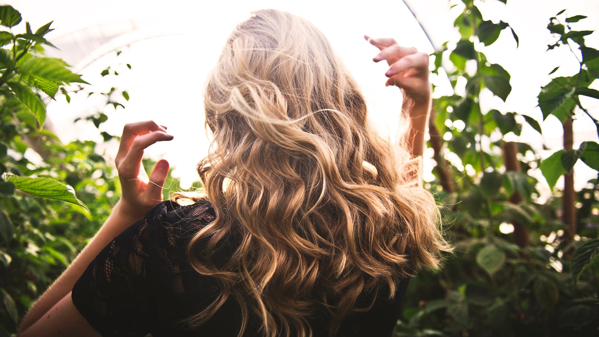 Color De Pelo Rubio