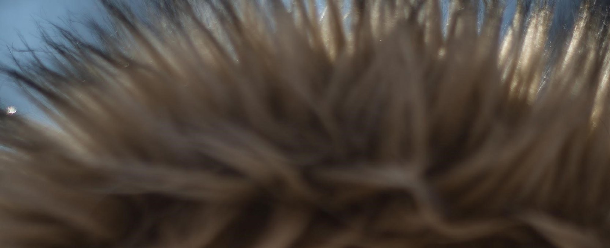 Extensiones De Pestanas